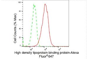 anti-High Density Lipoprotein Binding Protein (HDLBP) antibody