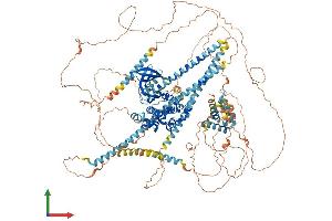 Protein Structure (PS) image for NIMA-Related Kinase 1 (NEK1) (AA 1-1258) protein (His tag) (ABIN7554702)