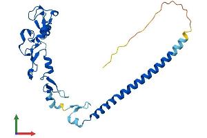 AlphaFold protein structure predicition of Human Recombinant RNF151 Protein, UniprotID Q2KHN1