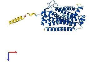 PAQR7 Protein (AA 1-345) (His tag)