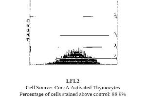 Mouse anti CD25 (IL-2 receptor alpha chain) OX-39 (CD25 Antikörper)