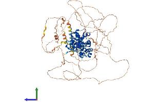 Protein Structure (PS) image for Nuclear Receptor Subfamily 3, Group C, Member 2 (NR3C2) (AA 1-978) protein (His tag) (ABIN7564774)