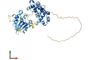 Protein Structure (PS) image for rho GTPase Activating Protein 8 (ARHGAP8) (AA 1-425) protein (His tag) (ABIN7560722)