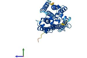 AlphaFold protein structure predicition of Human Recombinant PAQR5 Protein, UniprotID Q9NXK6