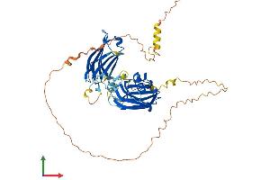 Protein Structure (PS) image for Synaptotagmin XVII (SYT17) (AA 1-474) protein (His tag) (ABIN7544178)