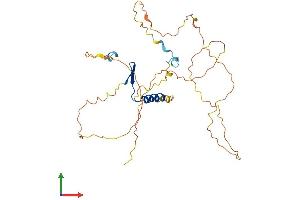 Protein Structure (PS) image for Vestigial Like 3 (VGLL3) (AA 1-326) protein (His tag) (ABIN7545068)