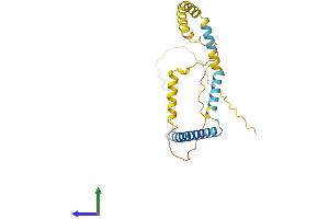 Protein Structure (PS) image for Tumor Protein D52-Like 2 (TPD52L2) (AA 1-220) protein (His tag) (ABIN7560764)