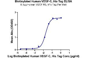 ELISA image for Vascular Endothelial Growth Factor C (VEGFC) (AA 103-227) protein (His-Avi Tag,Biotin) (ABIN7275830)