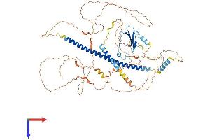 ATF6 Protein (AA 1-670) (His tag)