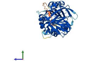 AlphaFold protein structure predicition of Mouse Recombinant Serpinb8 Protein, UniprotID O08800 (SERPINB8 Protein (AA 1-374) (His tag))