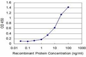 Detection limit for recombinant GST tagged FGF8 is approximately 0. (FGF8 Antikörper  (AA 65-133))
