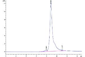Size-exclusion chromatography-High Pressure Liquid Chromatography (SEC-HPLC) image for Dickkopf Homolog 1 (DKK1) (AA 32-266) protein (His-Avi Tag,Biotin) (ABIN7274469)