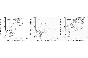Flow Cytometry (FACS) image for anti-LY6C + LY6G antibody (Magnetic Particles) (ABIN1177013)