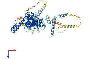 PES1 Protein (AA 1-588) (His tag)