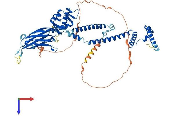 SMARCD1 Protein (AA 1-515) (His tag)