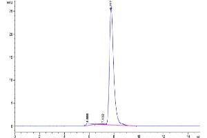 The purity of Mouse LRRC15 is greater than 95 % as determined by SEC-HPLC. (LRRC15 Protein (AA 22-536) (His tag))