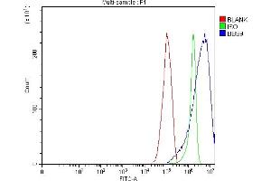 Flow Cytometry analysis of RT4 cells using anti-BBS9 antibody (ABIN7601518). (BBS9 Antikörper  (AA 37-793))