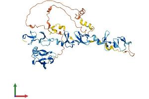 Protein Structure (PS) image for PDZ and LIM Domain 7 (Enigma) (PDLIM7) (AA 1-457) protein (His tag) (ABIN7554919)
