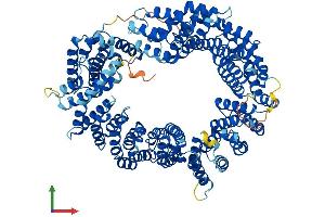 Protein Structure (PS) image for Importin 13 (IPO13) (AA 1-963) protein (His tag) (ABIN7554210)