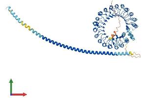 Protein Structure (PS) image for F-Box and Leucine-Rich Repeat Protein 13 (FBXL13) (AA 1-735) protein (His tag) (ABIN7547769)