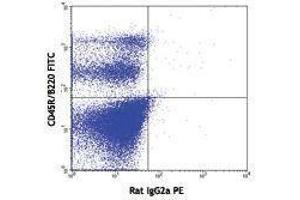 Flow Cytometry (FACS) image for anti-Fms-Related tyrosine Kinase 3 (FLT3) antibody (PE) (ABIN2663014) (FLT3 Antikörper  (PE))
