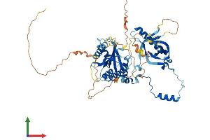 Protein Structure (PS) image for Meiosis 1 Associated Protein (M1AP) (AA 1-530) protein (His tag) (ABIN7549122)
