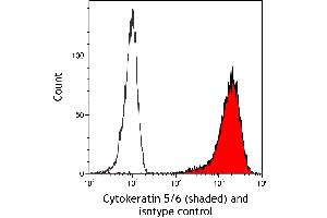 Flow Cytometry (FACS) image for anti-Keratin 5/6 (KRT5/6) (C-Term) antibody (ABIN7795769) (Rekombinanter Keratin 5/6 Antikörper  (C-Term))
