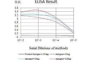 Black line: Control Antigen (100 ng),Purple line: Antigen (10 ng), Blue line: Antigen (50 ng), Red line:Antigen (100 ng) (KLRK1 Antikörper  (AA 73-216))