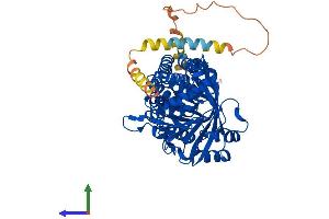 Protein Structure (PS) image for Squalene Epoxidase (SQLE) (AA 1-574) protein (His tag) (ABIN7547456)