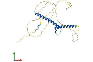 Protein Structure (PS) image for Neurogenin 2 (NEUROG2) (AA 1-263) protein (His tag) (ABIN7556725)