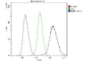 Flow Cytometry analysis of PC-3 cells using anti-Stefin B antibody (ABIN5692840). (CSTB Antikörper  (AA 1-98))