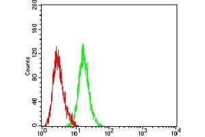 Flow cytometric analysis of HL-60 cells using CD5 mouse mAb (green) and negative control (red). (CD5 Antikörper  (AA 25-372))