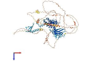 MPHOSPH8 Protein (AA 1-858) (His tag)