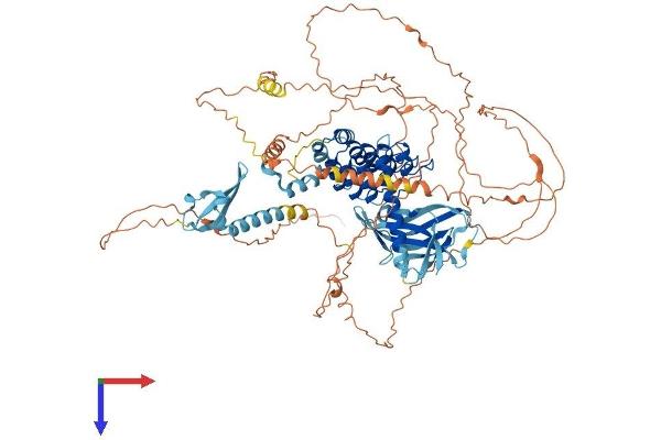 MPHOSPH8 Protein (AA 1-858) (His tag)