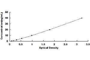 Typical standard curve (TOP2 ELISA Kit)