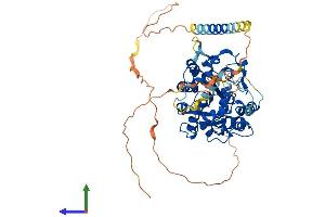 AlphaFold protein structure predicition of Human Recombinant CHST2 Protein, UniprotID Q9Y4C5 (CHST2 Protein (AA 1-530) (His tag))