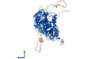 Protein Structure (PS) image for Ubiquitin Associated and SH3 Domain Containing, A (UBASH3A) (AA 1-661) protein (His tag) (ABIN7555942)
