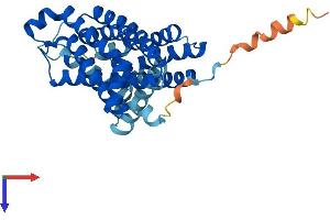 SLC35A1 Protein (AA 1-337) (His tag)