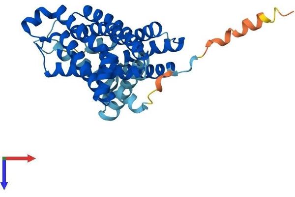 SLC35A1 Protein (AA 1-337) (His tag)