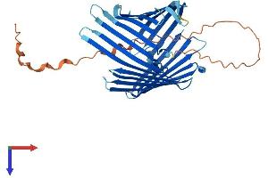 TOMM40 Protein (AA 1-361) (His tag)