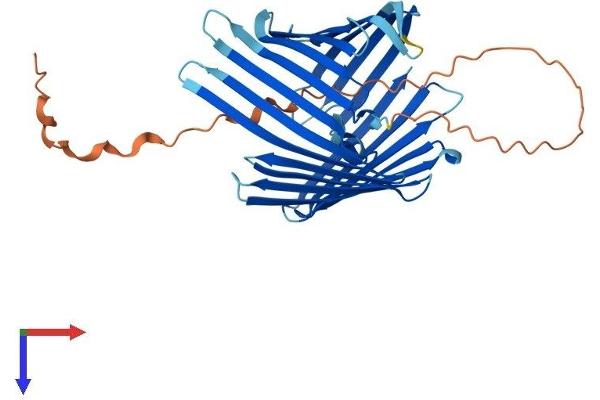 TOMM40 Protein (AA 1-361) (His tag)