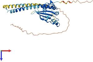 TSPY1 Protein (AA 1-308) (His tag)
