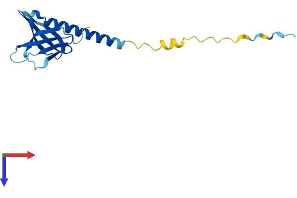 PHLDA2 Protein (AA 1-152) (His tag)