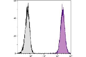 DBA/2 mouse mastocytoma cell line P815 and mB7. (CD86 Antikörper  (Biotin))