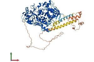 Protein Structure (PS) image for Myotubularin Related Protein 8 (MTMR8) (AA 1-704) protein (His tag) (ABIN7549601)