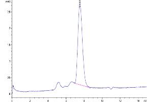Size-exclusion chromatography-High Pressure Liquid Chromatography (SEC-HPLC) image for MHC Class I Polypeptide-Related Sequence B (MICB) (AA 23-298) protein (His-Avi Tag,Biotin) (ABIN7275258)