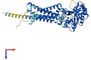 GDPD2 Protein (AA 1-539) (His tag)