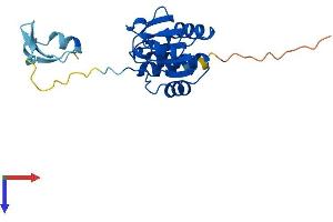 DUSP19 Protein (AA 1-220) (His tag)