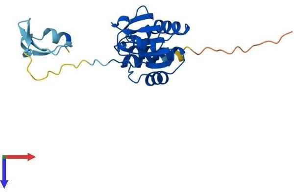 DUSP19 Protein (AA 1-220) (His tag)