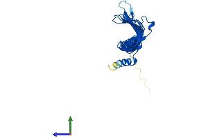 Protein Structure (PS) image for MORN Repeat Containing 3 (MORN3) (AA 1-240) protein (His tag) (ABIN7549454)
